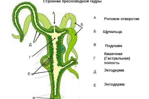 Официальная ссылка на kraken