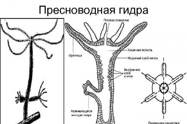 Кракен оренбург цены